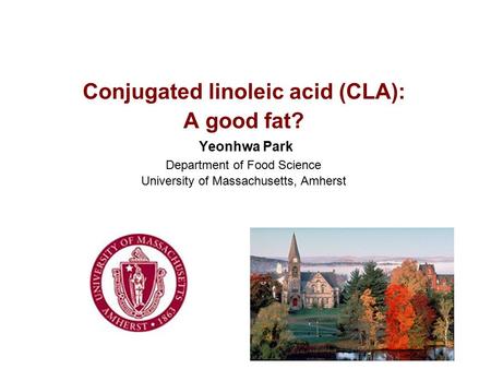 Conjugated linoleic acid (CLA): A good fat? Yeonhwa Park Department of Food Science University of Massachusetts, Amherst.
