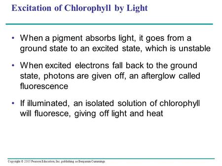 Copyright © 2005 Pearson Education, Inc. publishing as Benjamin Cummings Excitation of Chlorophyll by Light When a pigment absorbs light, it goes from.