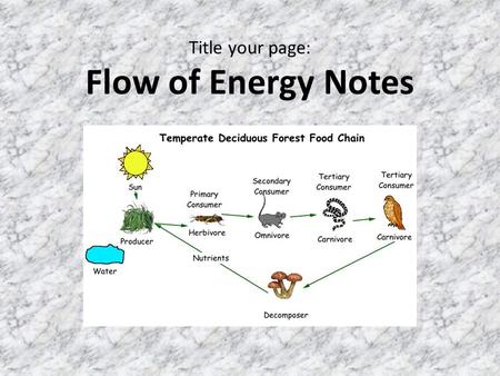 Title your page: Flow of Energy Notes