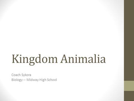 Kingdom Animalia Coach Sykora Biology -- Midway High School.