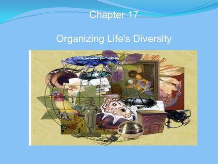 Chapter 17 Organizing Life's Diversity. Biological Classification 1. Provides a framework to study relationships among living & extinct species 2. Aids.