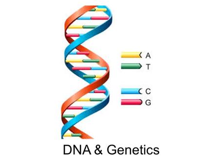DNA & Genetics Biblical Reference Children are a heritage from the Lord, offspring a reward from him. Psalm 127:3.