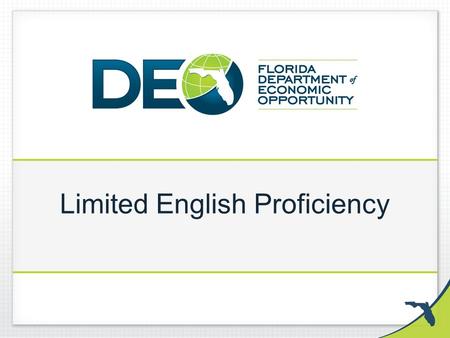 Limited English Proficiency. Important Terms Language Access: Refers to the rights of Limited English Proficient (LEP) individuals to receive meaningful.