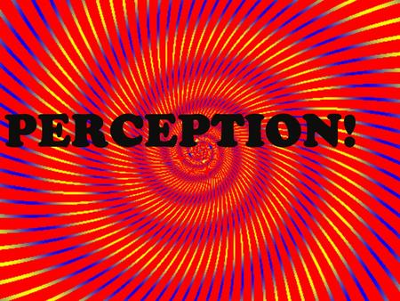 PERCEPTION!. What is perception? Go through your notes and in your own words write down what perception is?