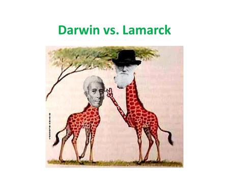 Darwin vs. Lamarck. What is a theory? An explanation of some aspect of the natural world based on the best available evidence Summarizes hypotheses that.