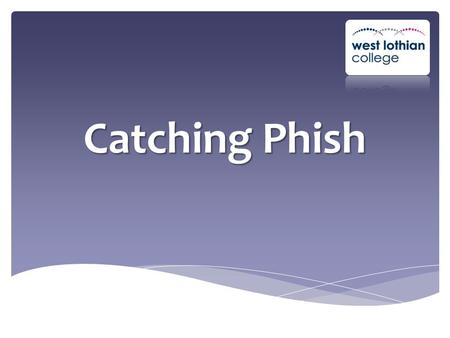 Catching Phish. If I went fishing what would I be doing? On the Internet fishing (phishing) is similar! On the internet people might want to get your.
