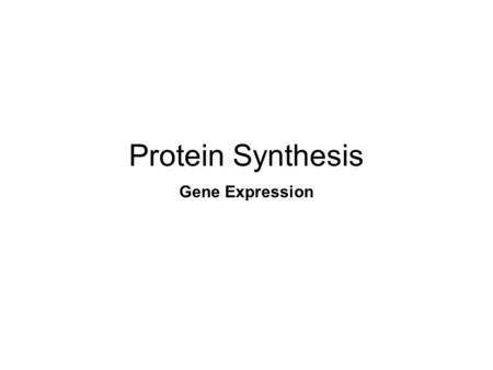 Protein Synthesis Gene Expression. Protein Synthesis The process of making proteins… Boring stuff? Nope This is how the information in your genes is used.
