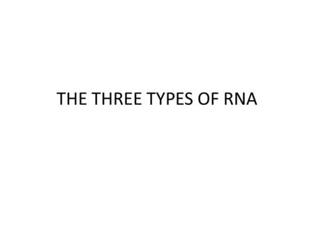 THE THREE TYPES OF RNA. Section 11.2 Summary – pages 288 - 295 There are three main types of RNA that help build proteins. # 1 Messenger RNA (mRNA) brings.