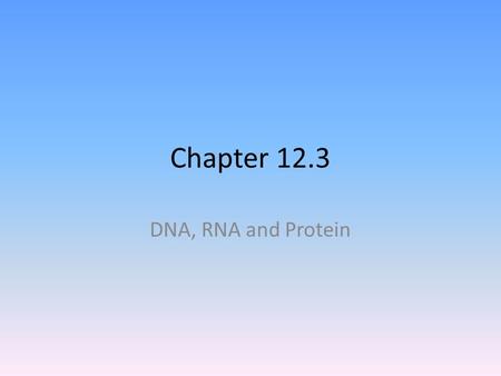 Chapter 12.3 DNA, RNA and Protein. 12.3 DNA, RNA, and Protein Molecular Genetics Central Dogma  RNA - Contains the sugar ribose and the base uracil,