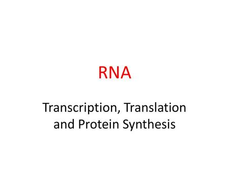 RNA Transcription, Translation and Protein Synthesis.