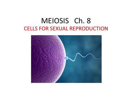 MEIOSIS Ch. 8 CELLS FOR SEXUAL REPRODUCTION. Meiosis for Sexual Reproduction Sexual Reproduction - two parents a. Offspring are genetic mix of both parents.