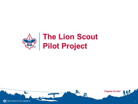 The Lion Scout Pilot Project