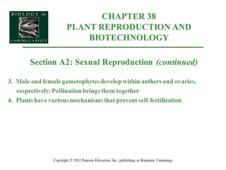 CHAPTER 38 PLANT REPRODUCTION AND BIOTECHNOLOGY Copyright © 2002 Pearson Education, Inc., publishing as Benjamin Cummings Section A2: Sexual Reproduction.