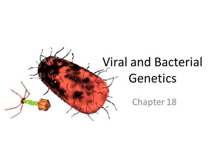 Viral and Bacterial Genetics Chapter 18. Overview Comparison Figure 18.2 0.25  m.