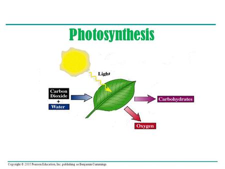 Copyright © 2005 Pearson Education, Inc. publishing as Benjamin Cummings Photosynthesis.