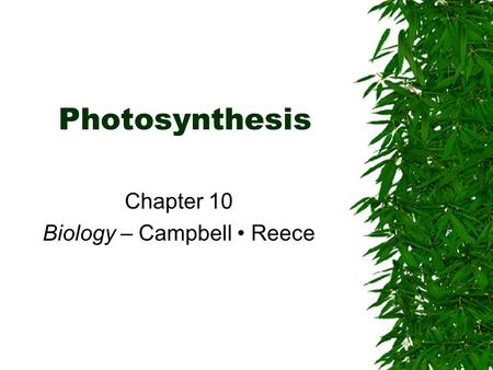 Photosynthesis Chapter 10 Biology – Campbell Reece.