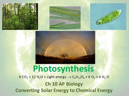 Photosynthesis Ch 10 AP Biology Converting Solar Energy to Chemical Energy 6 CO 2 + 12 H 2 O + Light energy  C 6 H 12 O 6 + 6 O 2 + 6 H 2 O.