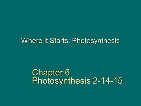 Where It Starts: Photosynthesis Chapter 6 Photosynthesis 2-14-15.