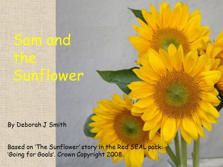 Sam and the Sunflower By Deborah J Smith Based on ‘The Sunflower’ story in the Red SEAL pack: ‘Going for Goals’. Crown Copyright 2008.
