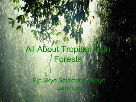 All About Tropical Rain Forests By: Skye Salamat & Jaelyn Lammers.