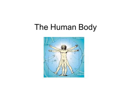 The Human Body. Cavities The human body has 4 major body cavities 1: Cranial Cavity (houses the brain) 2: Vertebral Canal (houses the spinal cord) 3: