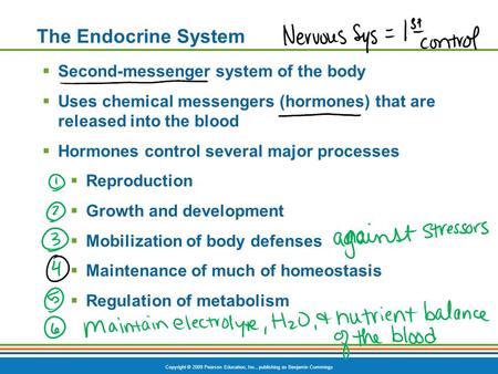 Copyright © 2009 Pearson Education, Inc., publishing as Benjamin Cummings The Endocrine System  Second-messenger system of the body  Uses chemical messengers.