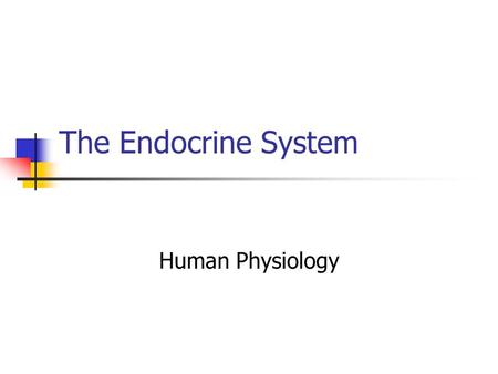 The Endocrine System Human Physiology.