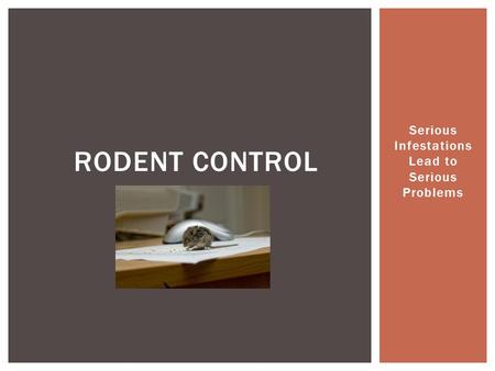 Serious Infestations Lead to Serious Problems RODENT CONTROL.