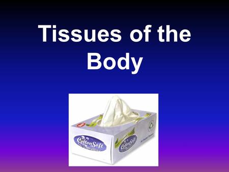 Tissues of the Body. Cells to tissues When fertilization occurs only 1 cell exists Must divide and specialize to produce different cells and then tissues.