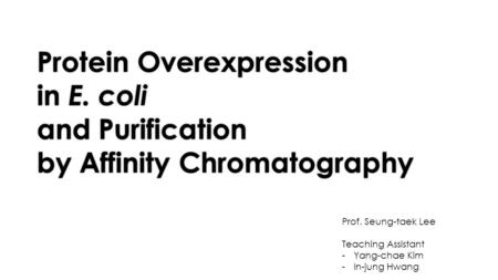 Protein Overexpression in E