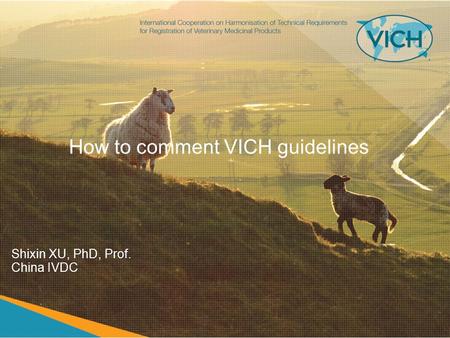 How to comment VICH guidelines Shixin XU, PhD, Prof. China IVDC.