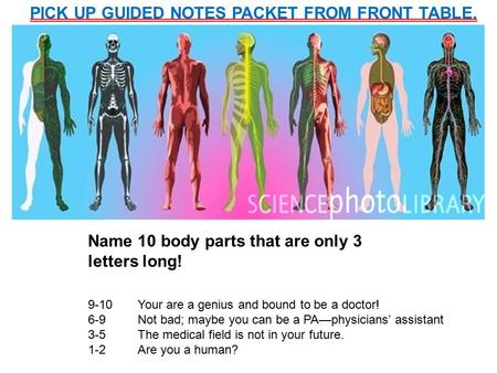 Name 10 body parts that are only 3 letters long! 9-10Your are a genius and bound to be a doctor! 6-9Not bad; maybe you can be a PA—physicians’ assistant.