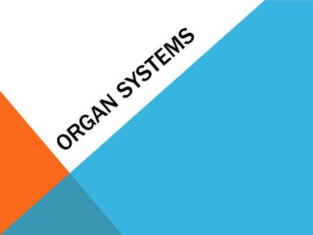 ORGAN SYSTEMS. ORGAN SYSTEMS: EQ: Can I name the body’s major organ systems, what organs they include and the systems’ functions?