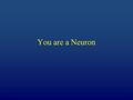 You are a Neuron. Write in: Students = neurons Class = neural network Squeeze = neural message Arms = axon Fingers =axon terminal Shoulder / ankles =
