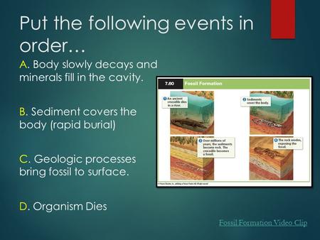 Put the following events in order… A. Body slowly decays and minerals fill in the cavity. B. Sediment covers the body (rapid burial) C. Geologic processes.