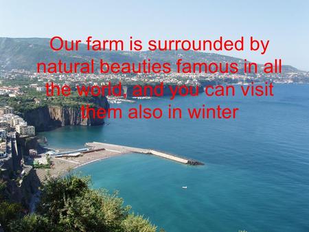 Our farm is surrounded by natural beauties famous in all the world, and you can visit them also in winter.