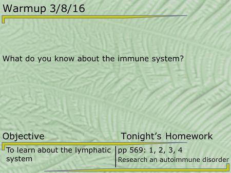 Warmup 3/8/16 What do you know about the immune system? Objective Tonight’s Homework To learn about the lymphatic system pp 569: 1, 2, 3, 4 Research an.