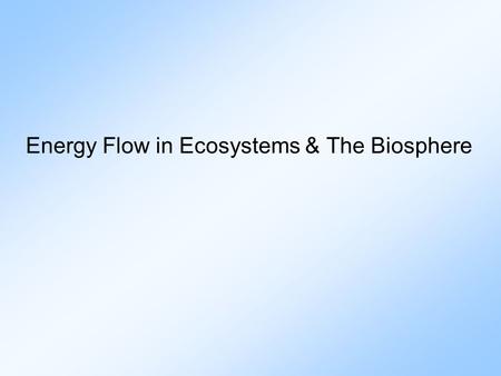 Energy Flow in Ecosystems & The Biosphere. Important Vocabulary 1. Ecology: study of the relationships among organisms & between organisms & their physical.