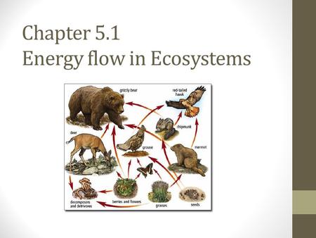 Chapter 5.1 Energy flow in Ecosystems. Sustaining Life on Earth Life depends on these interconnected factors: One-way flow of energy from the sun through.