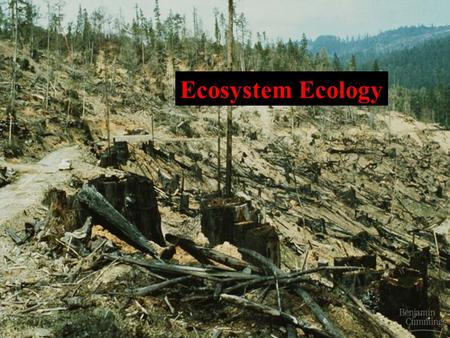 Ecosystem Ecology. I. Ecosystems A. Definition 1. An ecosystem is an association of organisms and their physical environment, 2. Linked by a flow of energy.