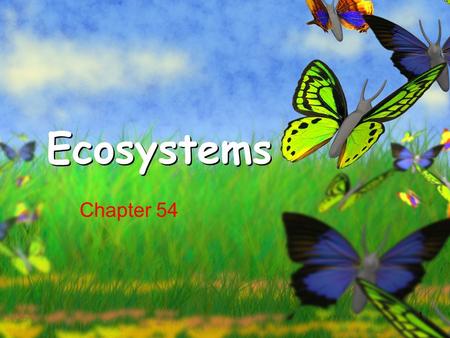 1 Ecosystems Chapter 54. What you need to know How energy flows through the ecosystem The difference between gross primary productivity and net primary.