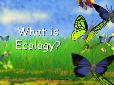 1 What is Ecology? copyright cmassengale. 2 What is Ecology?? The study of interactions that take place between organisms and their environment.The study.