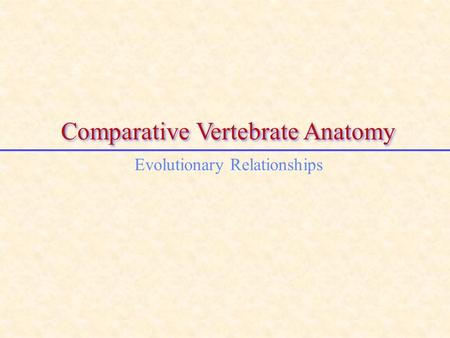Comparative Vertebrate Anatomy Evolutionary Relationships.