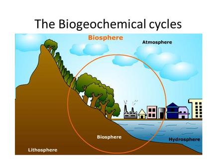 The Biogeochemical cycles. What is the Biosphere All living things and their habitats found in water, on land and in the air make up the biosphere. It.