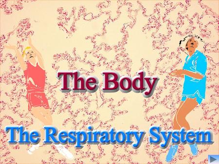 The purpose of the respiratory system is to… The Respiratory System “bring the air we breathe into close contact with the blood so that oxygen can be.