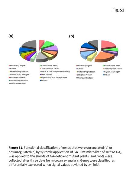 (a)(b) Fig. S1 Figure S1. Functional classification of genes that were upregulated (a) or downregulated (b) by systemic application of GA. Five micro liter.