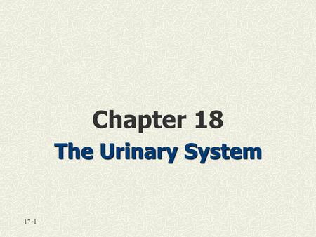 17 -1 Chapter 18 The Urinary System. 18-1: The Urinary System Functions of the urinary system: Excretion Excretion—removal of waste products Elimination.