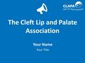 The Cleft Lip and Palate Association Your Name Your Title.