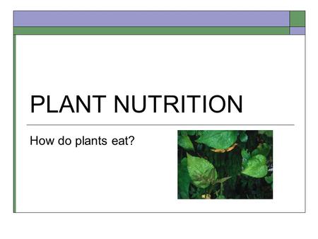 PLANT NUTRITION How do plants eat?.