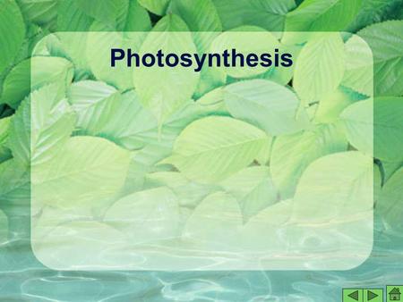 Photosynthesis. Saving for a Rainy Day Suppose you earned extra money by having a part- time job. At first, you might be tempted to spend all of the money,